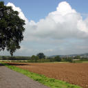 One of the possible sites for a bench donated by Blandford St. Mary Parish Council